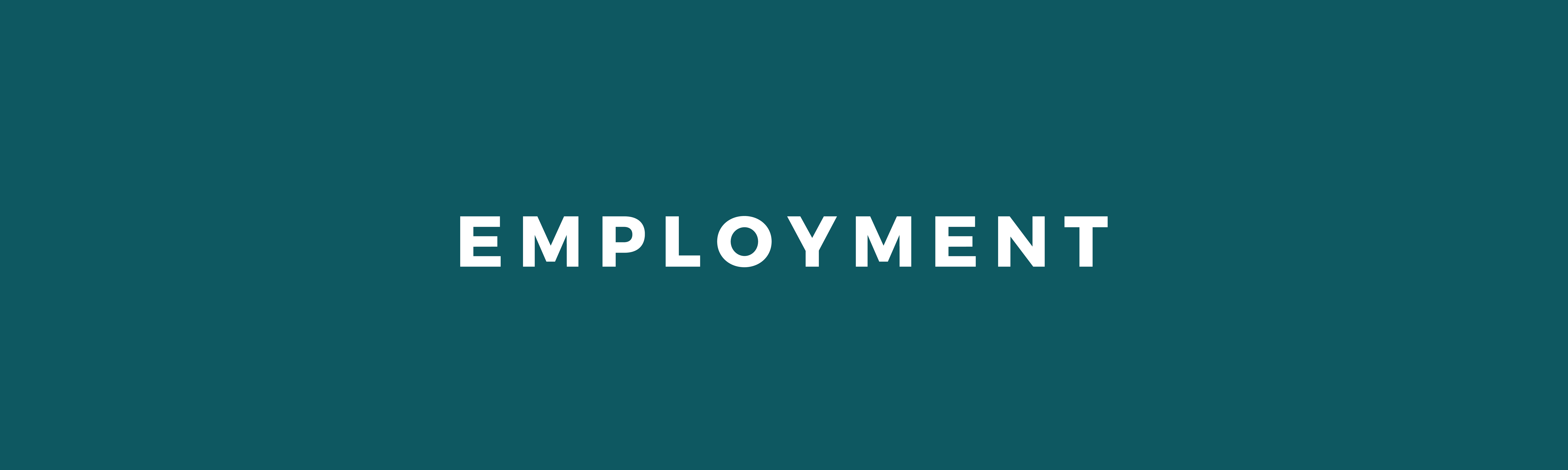 Employment – BASELA